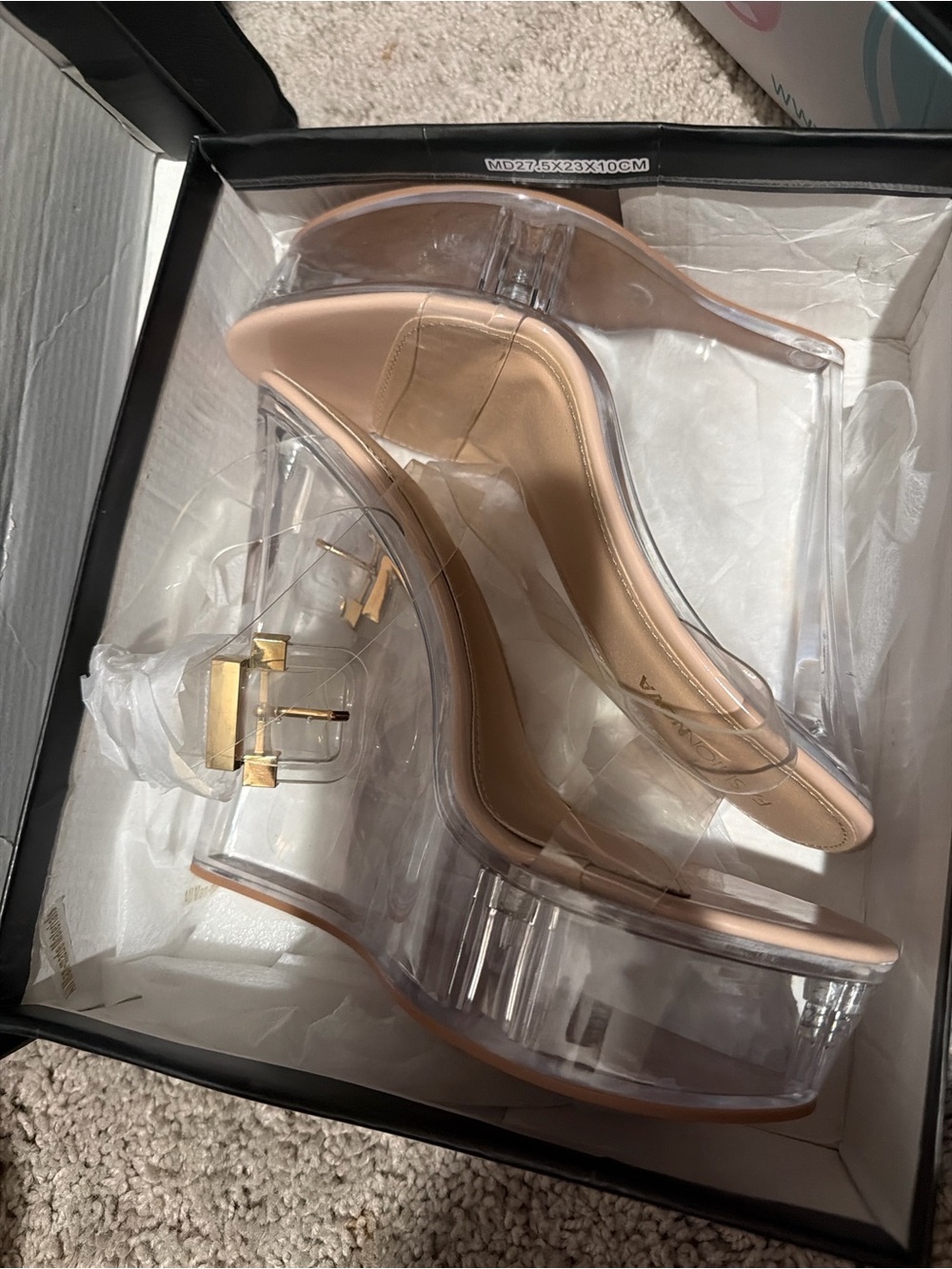 Fashion Nova Clear Platform Wedges with Nude Straps and Gold Buckle